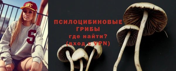 apvp Алексин