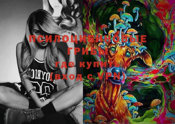 apvp Алексин