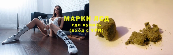 apvp Алексин