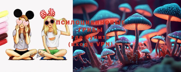 apvp Алексин