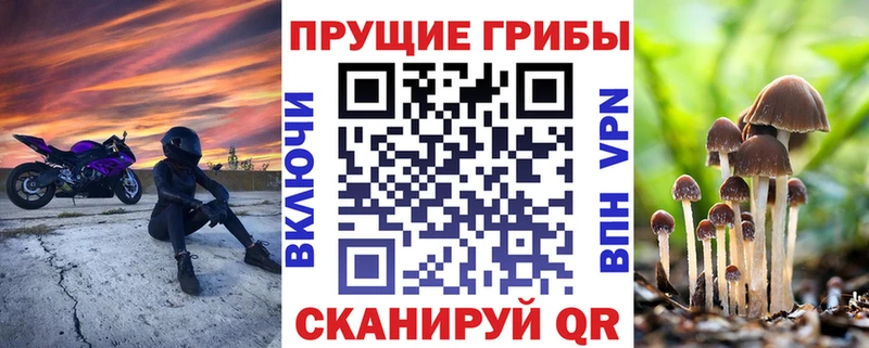 цена наркотик  Жиздра  darknet наркотические препараты  Псилоцибиновые грибы мухоморы 